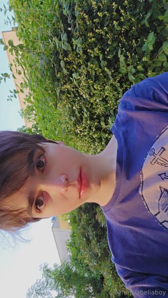 abeliaboy