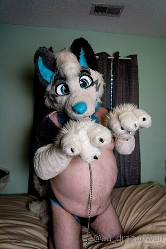 ad_dragonwolf