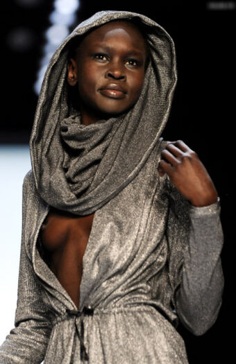 Alek Wek