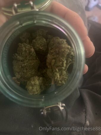 bigcheese88
