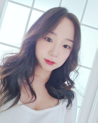 BJ Apple 사과