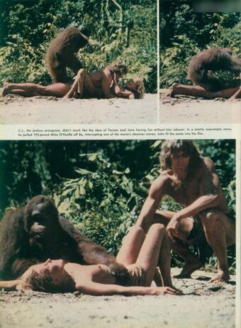 Bo Derek Photo Fuites Nudes OnlyFans 12