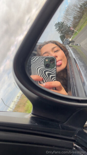 breeskylar