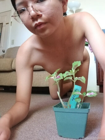 buddingroselia Photo Fuites Nudes OnlyFans 13