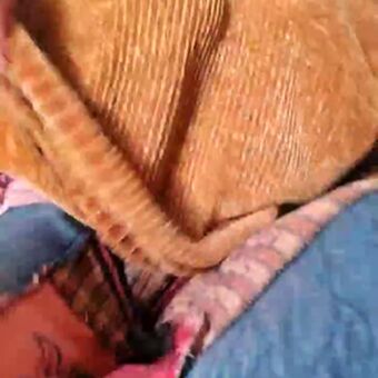 Cami Sweet Photo Fuites Nudes OnlyFans 40