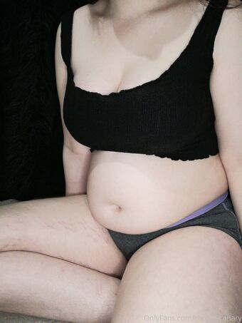 chubbycanary Photo Fuites Nudes OnlyFans 10