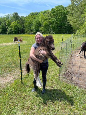 countrycockqueenfree