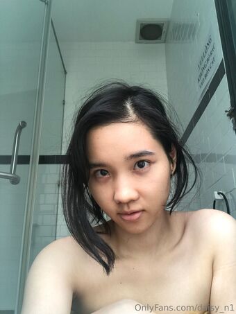 daisy_n1