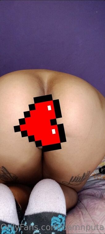 damnputa24