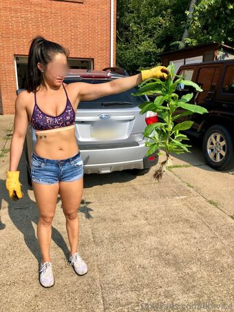 db-vice Photo Fuites Nudes OnlyFans 20