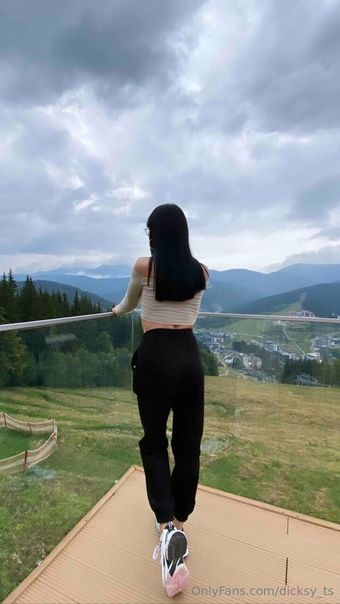 dicksy_ts