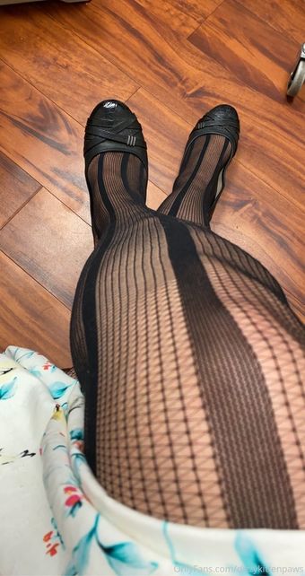 dizzykittenpaws Photo Fuites Nudes OnlyFans 20