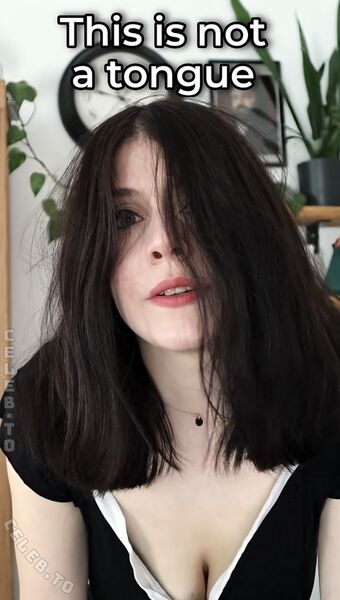 Dont Trust The Rabbit