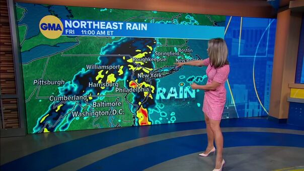 Ginger Zee