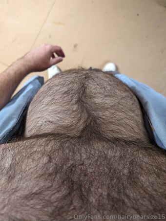 hairybearsize15