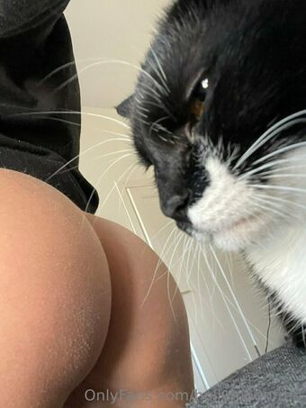 hollymoonvvip Photo Fuites Nudes OnlyFans 3