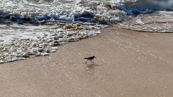 Iza and Elle Photo Fuites Nudes OnlyFans 24