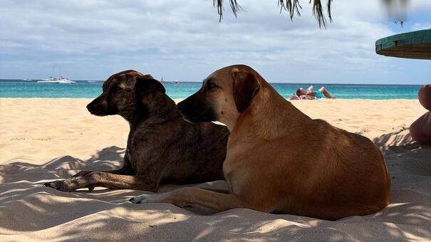 Iza and Elle Photo Fuites Nudes OnlyFans 25