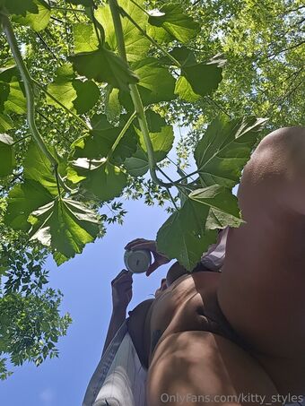 kitty_styles Photo Fuites Nudes OnlyFans 19