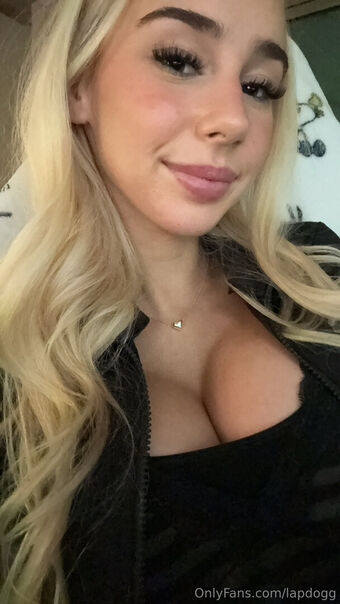 lapdogg