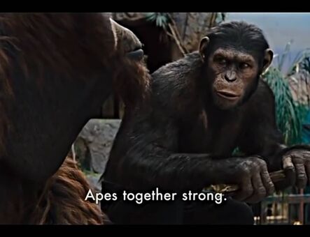 lilijunex Photo Fuites Nudes OnlyFans 125