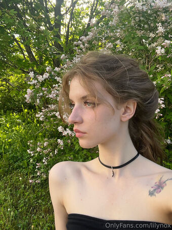 lilynox
