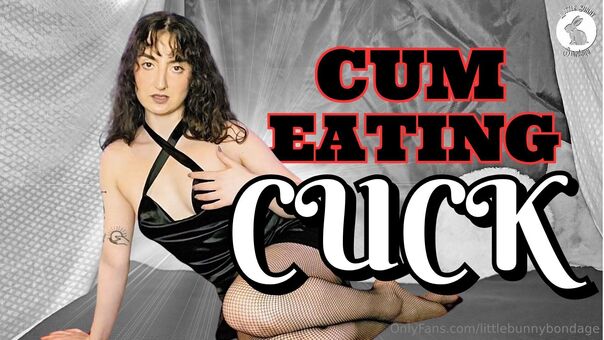 littlebunnybondage Photo Fuites Nudes OnlyFans 27