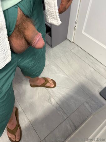 m1dwestbear