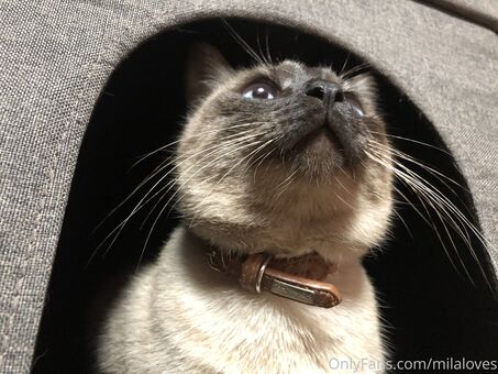 milaloves