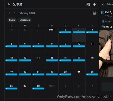 miss.velvet.star.free