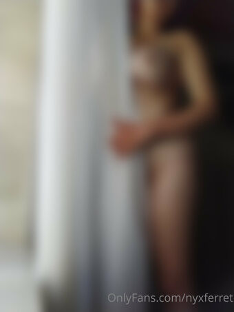 nyxferret