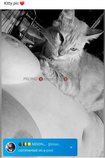 onesweetone Photo Fuites Nudes OnlyFans 2