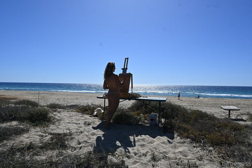 paint.with.babe.ross