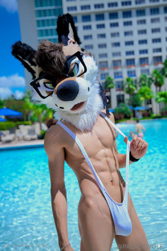 palacewolf Photo Fuites Nudes OnlyFans 39