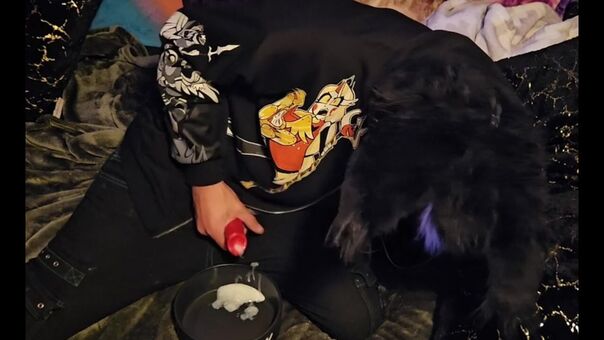 pawsheisty Photo Fuites Nudes OnlyFans 7