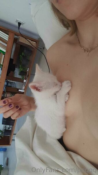 peqqq
