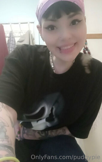 pudgypie