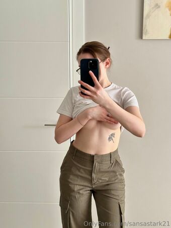 sansastark21
