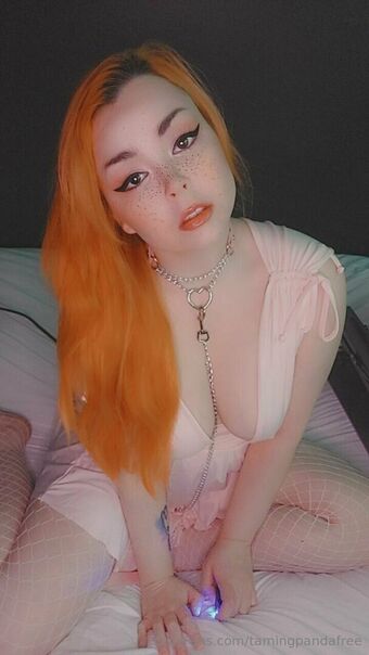 tamingpandafree