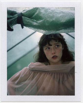 thestrawberrybutcher