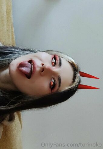 torineko