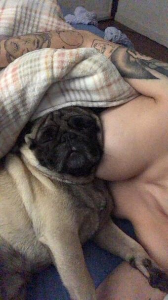 Trizpac Photo Fuites Nudes OnlyFans 65