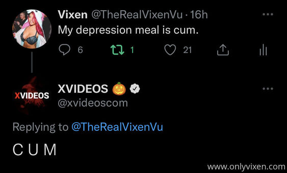 Vixenvu Photo Fuites Nudes OnlyFans 42