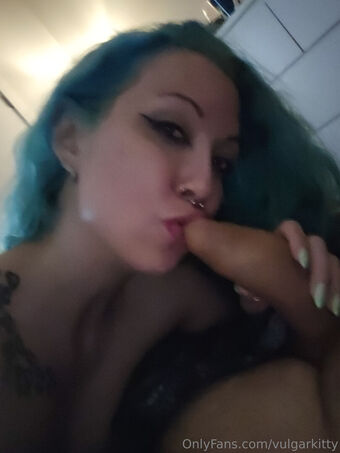 vulgarkitty