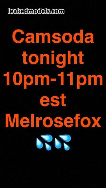 Melrosefox